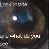 on the inside