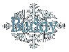 Snowflake Buddy