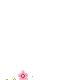 little pink flowers
