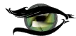 Baby cola eye