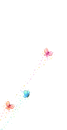 butterflys