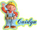Caidyn