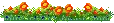 orange flowers