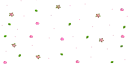 falling roses