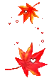 fall colors