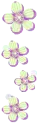 cute flowers