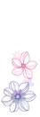 delicate flowers