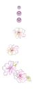 pretty flowers