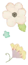 lovely flowers
