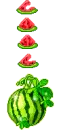 yumy watermelon
