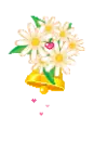 little daisys