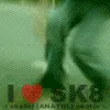i love sk8