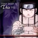 Your brain is this big...