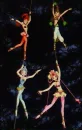the Amazon Quartet