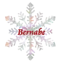 Bernabe Snowflake