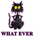 what ever