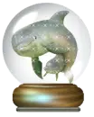 dolphin globe