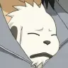 Akamaru