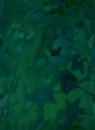 Green Ivy leaves