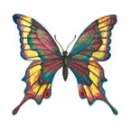 butterfly