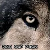 Join our pack
