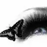Butterfly eye