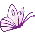 Purple Butterfly.