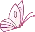 Pink Butterfly.