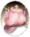 Bird Pink