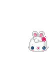 mini bunny