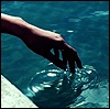 Hand Dipping In Water