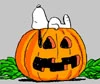 Snoppy