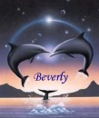 Beverly's Dolphin