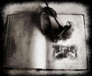 Gothic Book