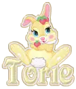 HUNNY BUNNY 