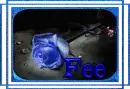 Fee