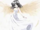 Innocent Angel