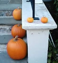 Fall Pumpkins