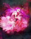 Warrior of the Rose