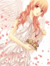 Caged Butterflies