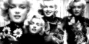 marilyn monroe blend