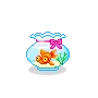 gold fish