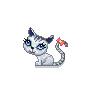 cute kitty