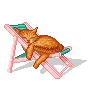 sleeping kitty