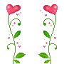 heart flowers