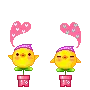 funny chicks