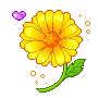 cute flower