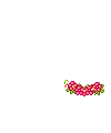 mini flowers