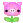 mini pig