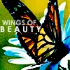Wings of Beauty